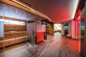 Spa and wellness 